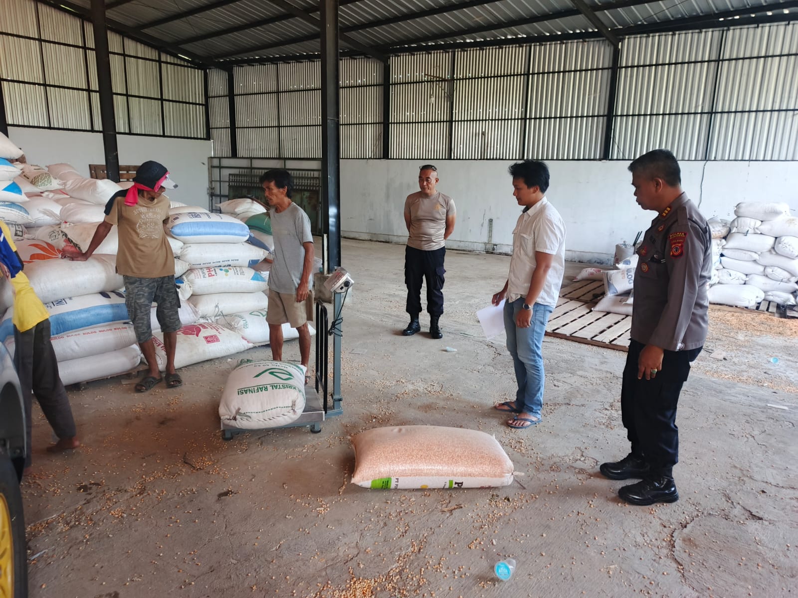 Polres Kuningan Kawal Program Swasembada Pangan, Hasil Panen Jagung Petani Mulai Didistribusikan ke Pabrik