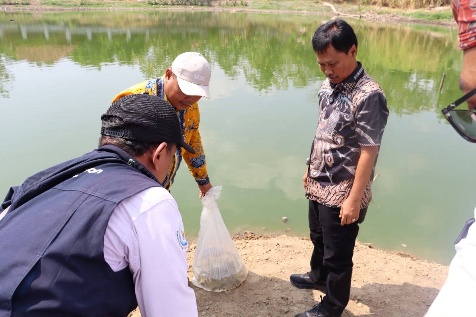 Wali Kota Tinjau Budidaya Ikan, Aset Daerah Disiapkan Dukung PAD dan Penanganan Stunting