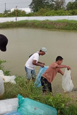 berita-rekomendasi-foto